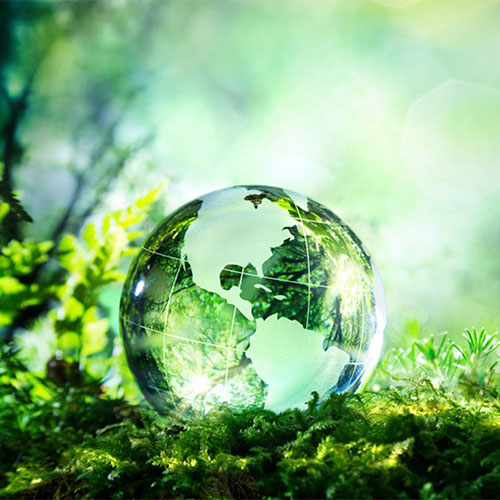 Environment, Health & Safety (EHS) Policy